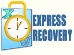 Express Recovery for lost and forgotten passwords (Word and Excel documents)